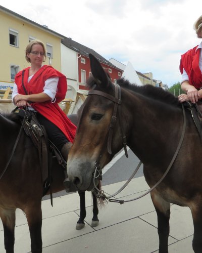 Mittelalterfest - 650 Jahre Markt Wurmannsquick